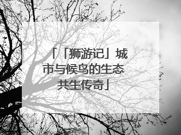 「狮游记」城市与候鸟的生态共生传奇
