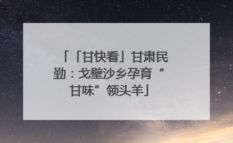 「甘快看」甘肃民勤：戈壁沙乡孕育“甘味”领头羊