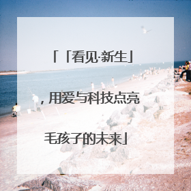 「看见·新生」，用爱与科技点亮毛孩子的未来