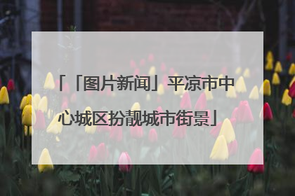 「图片新闻」平凉市中心城区扮靓城市街景