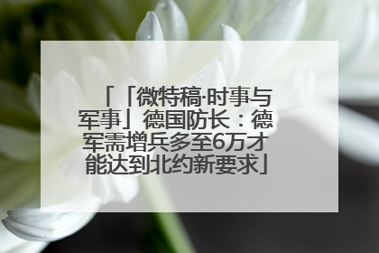 「微特稿·时事与军事」德国防长：德军需增兵多至6万才能达到北约新要求