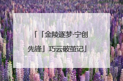「金陵逐梦·宁创先锋」巧云破茧记