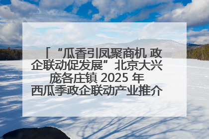 “瓜香引凤聚商机 政企联动促发展”北京大兴庞各庄镇 2025 年西瓜季政企联动产业推介活动圆满举行