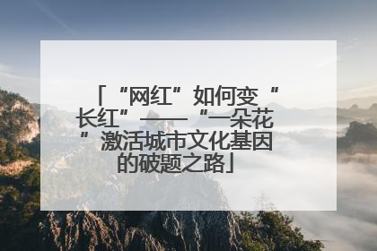 “网红”如何变“长红”——“一朵花”激活城市文化基因的破题之路