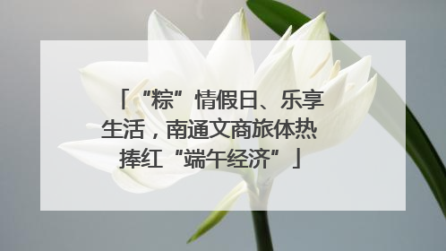 “粽”情假日、乐享生活，南通文商旅体热捧红“端午经济”