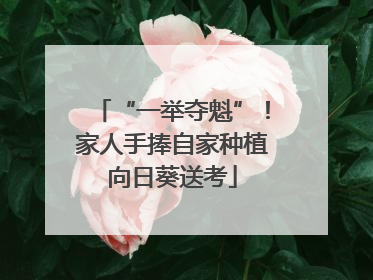“一举夺魁”！家人手捧自家种植向日葵送考