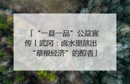 “一县一品”公益宣传丨武冈：卤水里熬出“草根经济”的醇香
