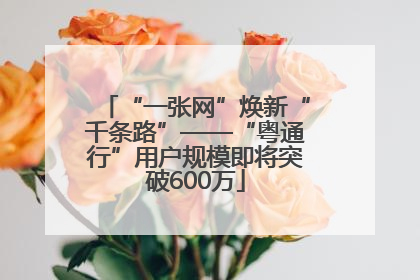 “一张网”焕新“千条路”——“粤通行”用户规模即将突破600万