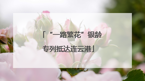 “一路繁花”银龄专列抵达连云港
