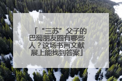 “三苏”父子的巴蜀朋友圈有哪些人？这场书画文献展上能找到答案