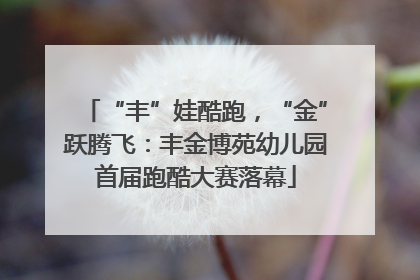 “丰”娃酷跑，“金”跃腾飞：丰金博苑幼儿园首届跑酷大赛落幕