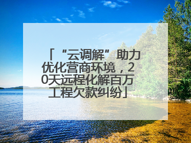 “云调解”助力优化营商环境，20天远程化解百万工程欠款纠纷