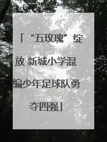 “五玫瑰”绽放 新城小学混编少年足球队勇夺四强