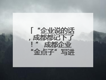 “企业说的话，成都都记下了！” 成都企业“金点子”写进数字文创政策