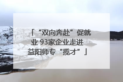 “双向奔赴”促就业 93家企业走进益阳师专“揽才”