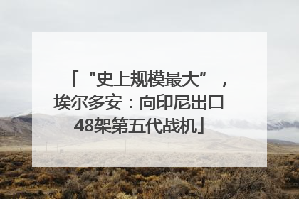 “史上规模最大”，埃尔多安：向印尼出口48架第五代战机