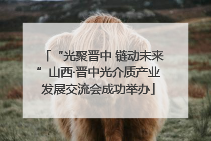 “光聚晋中 链动未来”山西·晋中光介质产业发展交流会成功举办