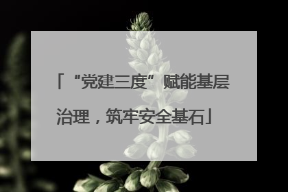 “党建三度”赋能基层治理,筑牢安全基石