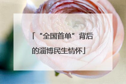 “全国首单”背后的淄博民生情怀