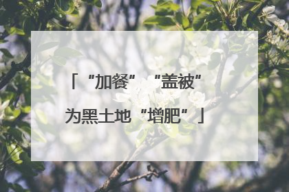 “加餐”“盖被” 为黑土地“增肥”