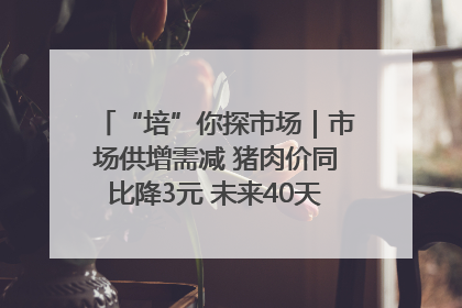 “培”你探市场｜市场供增需减 猪肉价同比降3元 未来40天便宜猪肉敞开吃