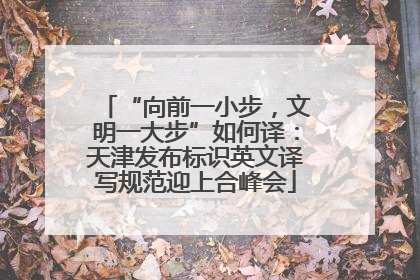 “向前一小步，文明一大步”如何译：天津发布标识英文译写规范迎上合峰会