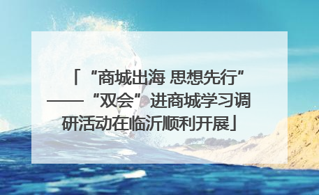 “商城出海 思想先行”——“双会”进商城学习调研活动在临沂顺利开展