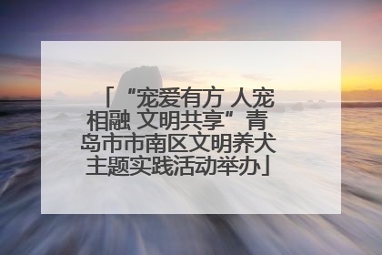 “宠爱有方 人宠相融 文明共享”青岛市市南区文明养犬主题实践活动举办