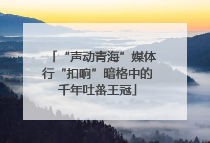 “声动青海”媒体行“扣响”暗格中的千年吐蕃王冠
