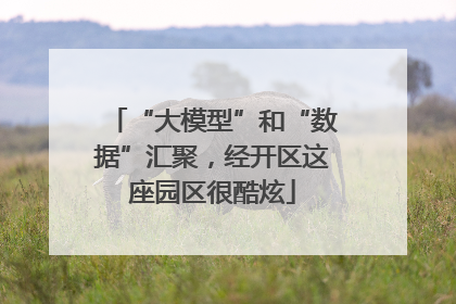 “大模型”和“数据”汇聚，经开区这座园区很酷炫