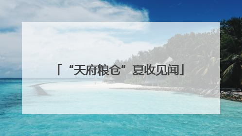 “天府粮仓”夏收见闻