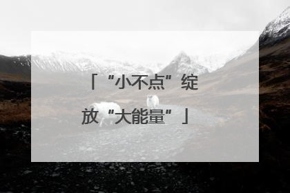 “小不点”绽放“大能量”