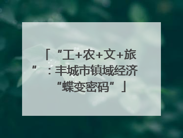 “工+农+文+旅”：丰城市镇域经济“蝶变密码”