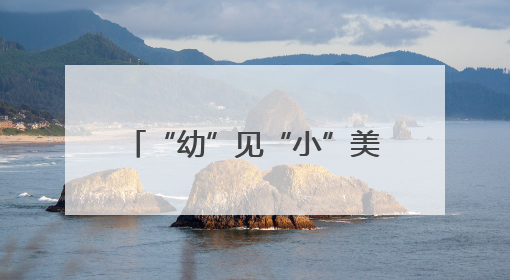 “幼”见“小”美好 峨眉三幼大班幼儿探秘小学生活