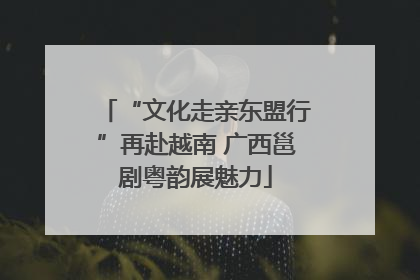 “文化走亲东盟行”再赴越南 广西邕剧粤韵展魅力