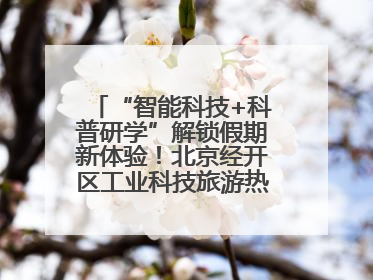 “智能科技+科普研学”解锁假期新体验！北京经开区工业科技旅游热度攀升