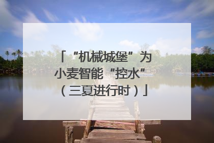 “机械城堡”为小麦智能“控水”（三夏进行时）