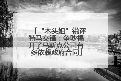 “木头姐”锐评特马交锋：争吵揭开了马斯克公司有多依赖政府合同