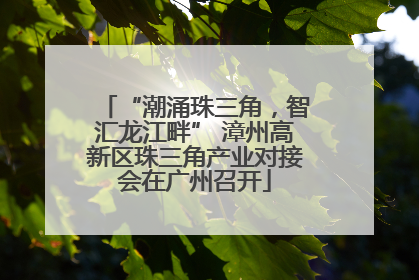 “潮涌珠三角，智汇龙江畔” 漳州高新区珠三角产业对接会在广州召开