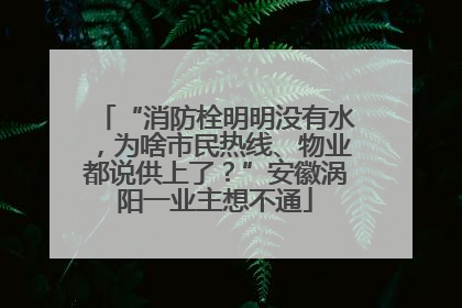 “消防栓明明没有水，为啥市民热线、物业都说供上了？”安徽涡阳一业主想不通