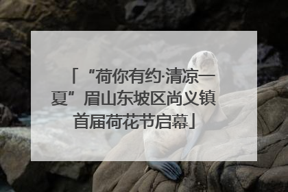 “荷你有约·清凉一夏”眉山东坡区尚义镇首届荷花节启幕