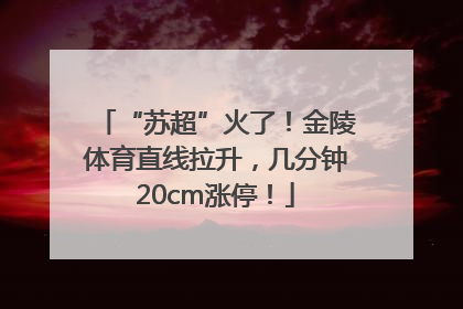 “苏超”火了！金陵体育直线拉升，几分钟20cm涨停！