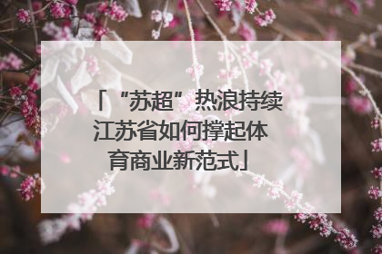 “苏超”热浪持续 江苏省如何撑起体育商业新范式