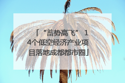 “蓄势高飞” 14个低空经济产业项目落地成都都市圈