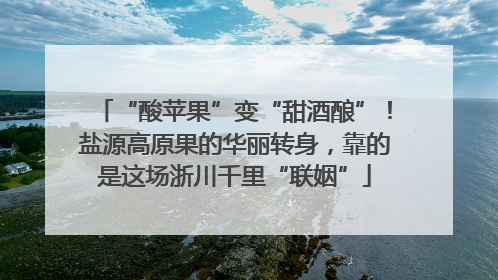 “酸苹果”变“甜酒酿”！盐源高原果的华丽转身，靠的是这场浙川千里“联姻”