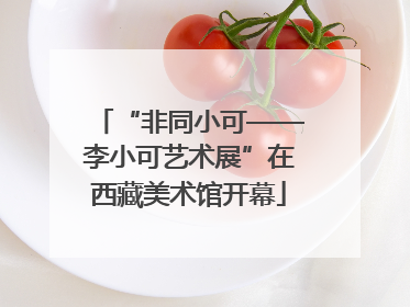 “非同小可——李小可艺术展”在西藏美术馆开幕