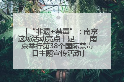 “非遗+禁毒”：南京这场活动亮点十足——南京举行第38个国际禁毒日主题宣传活动