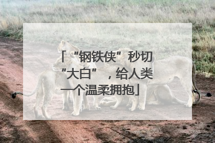 “钢铁侠”秒切“大白”，给人类一个温柔拥抱