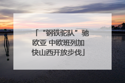 “钢铁驼队”驰欧亚 中欧班列加快山西开放步伐