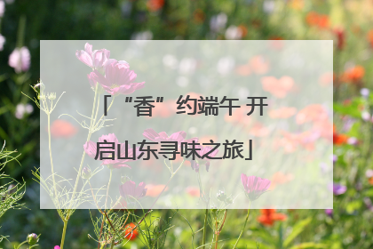 “香”约端午 开启山东寻味之旅